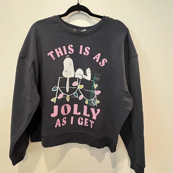 Peanuts Charcoal Sweatshirt with Pink Details - Picture 1 of 2